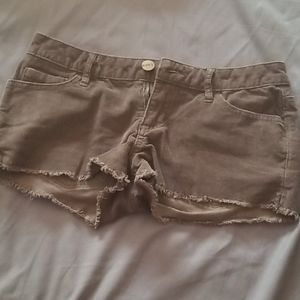 Brown Roxy Shorts